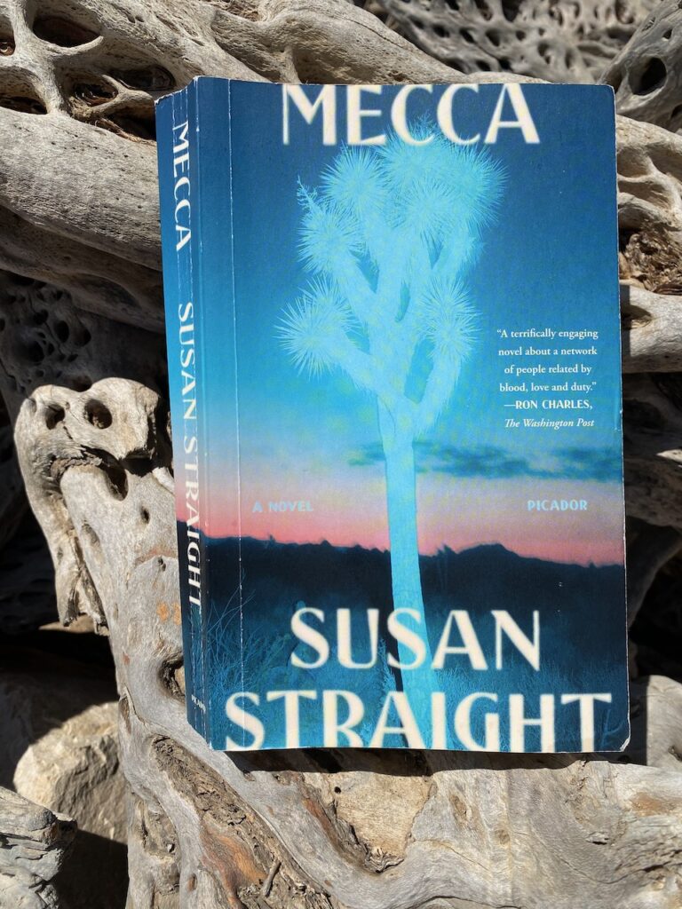 This image has an empty alt attribute; its file name is Mecca-Susan-Straight-768x1024.jpeg