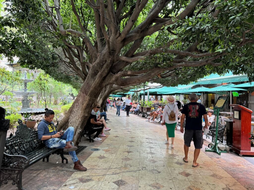 Tree shaded park - Guanajuato Mexico